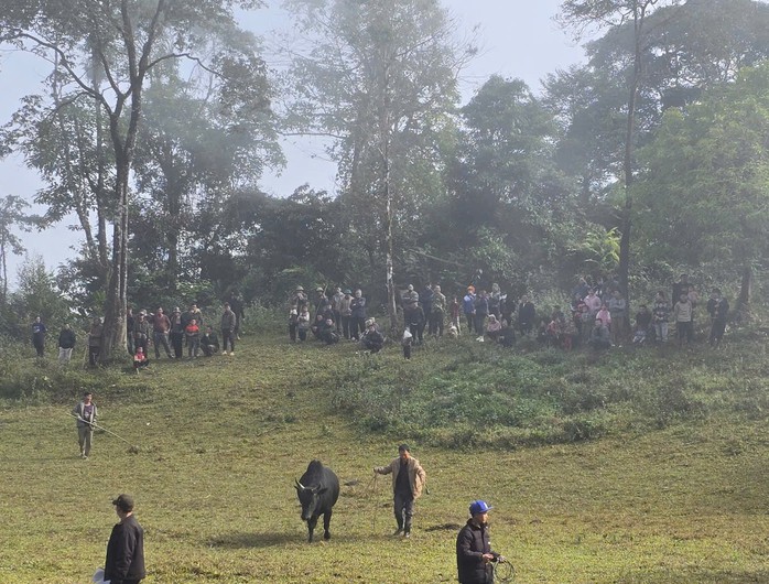 Ng&agrave;y xu&acirc;n, l&ecirc;n lưng chừng n&uacute;i xem người M&ocirc;ng chọi b&ograve; - Ảnh 7.