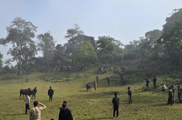 Ng&agrave;y xu&acirc;n, l&ecirc;n lưng chừng n&uacute;i xem người M&ocirc;ng chọi b&ograve; - Ảnh 5.