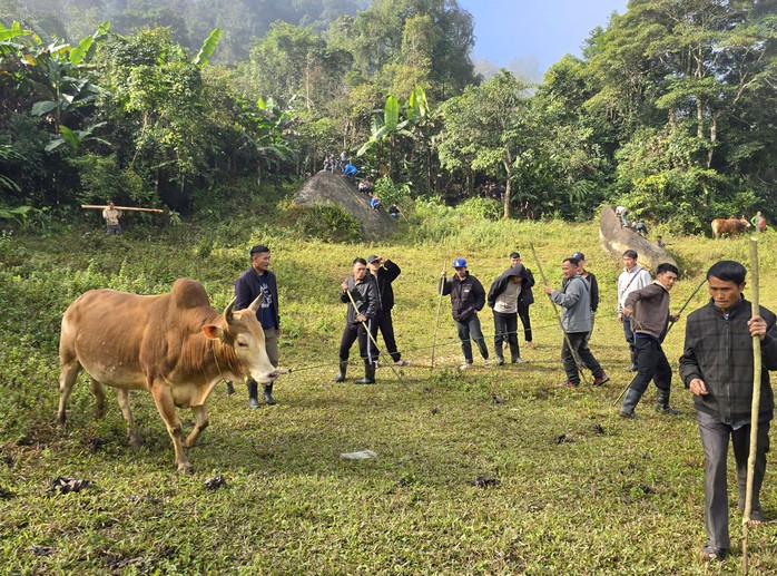 Ng&agrave;y xu&acirc;n, l&ecirc;n lưng chừng n&uacute;i xem người M&ocirc;ng chọi b&ograve; - Ảnh 4.