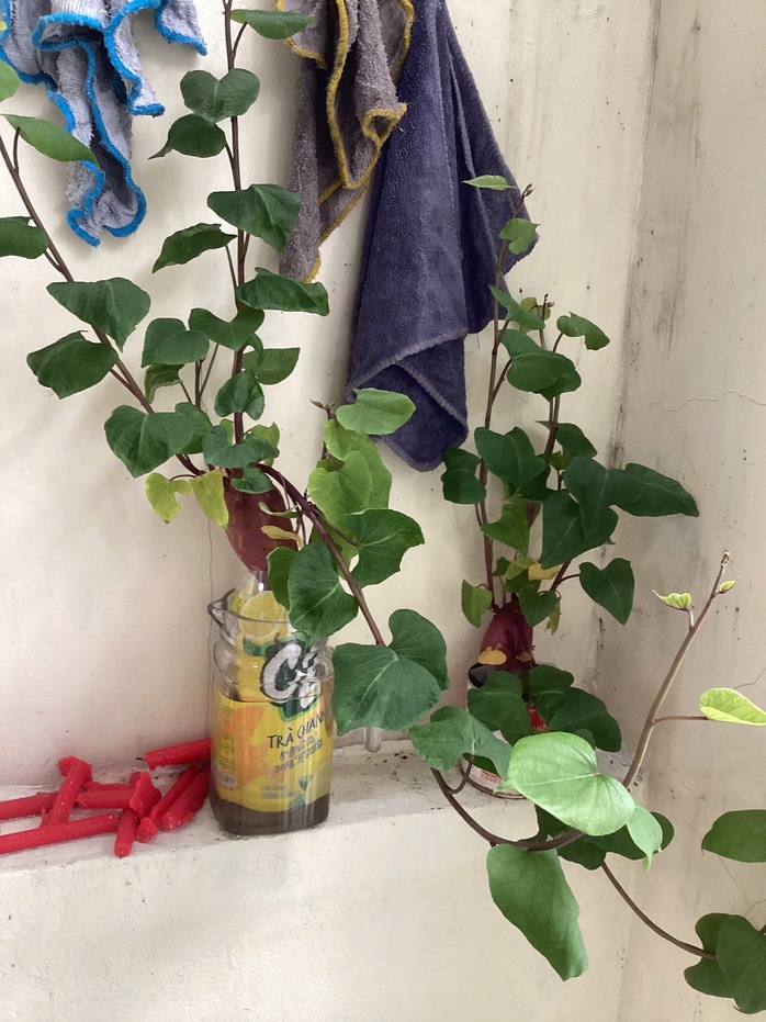 Cuộc thi "Tết xanh": Những chiếc túi đựng mùa xuân của mẹ - Ảnh 2.