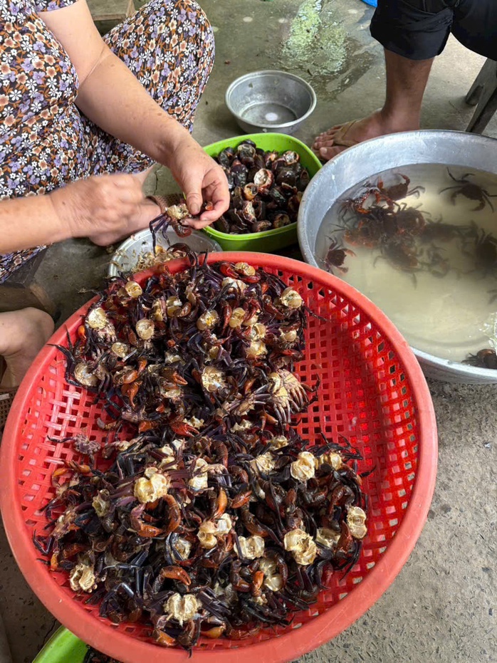 L&yacute; do mắm cua n&uacute;i gi&aacute; 800 . 000 Đồng / kg v&agrave; sự hấp dẫn của đặc sản An Giang - Ảnh 7.