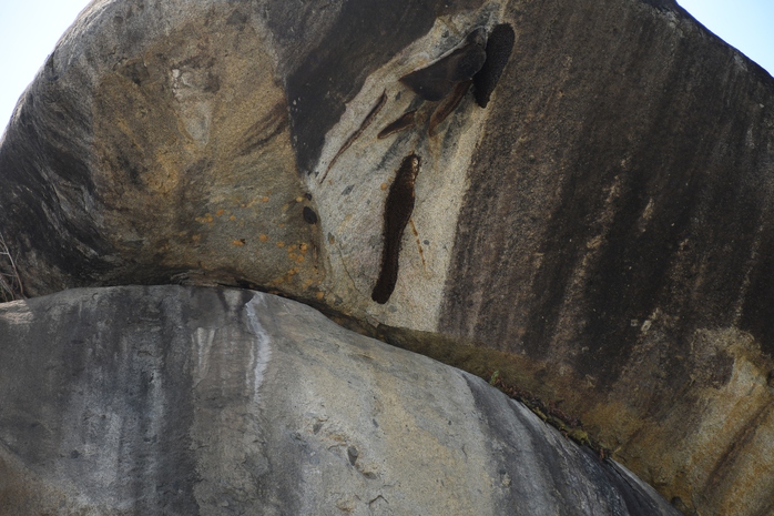 Độc lạ kỳ quan &ldquo;Đ&aacute; Ba Chồng" - Ảnh 10.