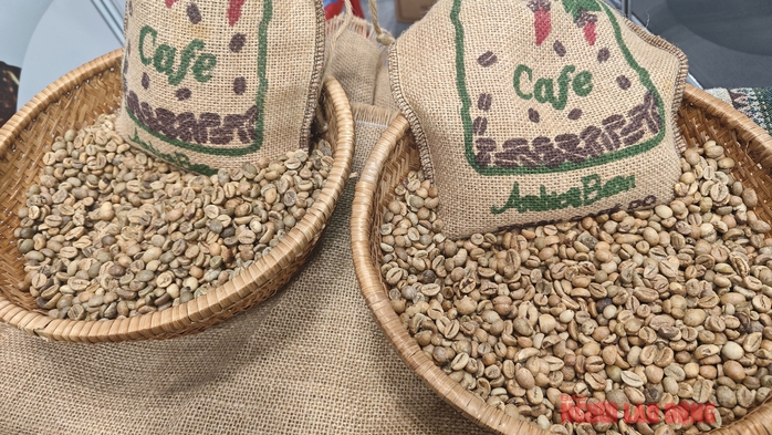 Giá cà phê hôm nay 23 - 2 2026: Dự báo từ Tổ chức cà phê quốc tế - Ảnh 2. Giá cà phê hôm nay 23 - 2 2026: Dự báo từ Tổ chức cà phê quốc tế - Ảnh 2.