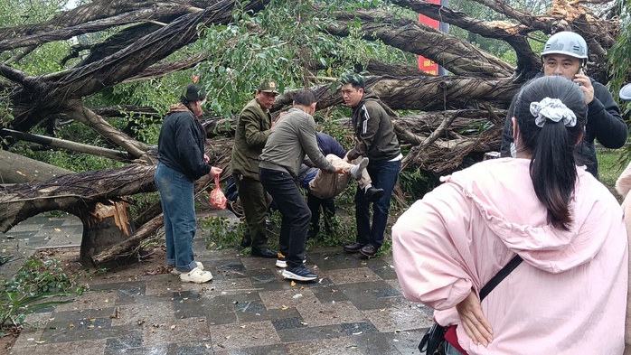 C&acirc;y cổ thụ bất ngờ đổ xuống đường Thanh Ni&ecirc;n , g&acirc;y thương t&iacute;ch cho người đi đường - Ảnh 3.