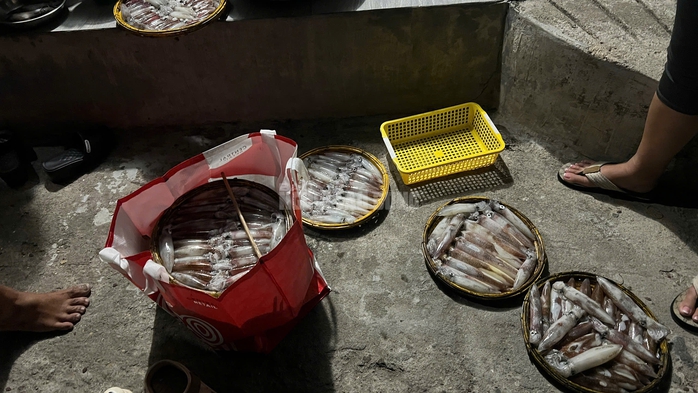 Ngư d&acirc;n Huế thu tiền triệu từ mực tươi nhờ quản l&yacute; IUU hiệu quả năm 2026 - Ảnh 3.