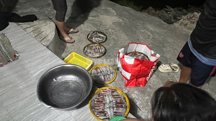 Ngư d&acirc;n Huế thu tiền triệu từ mực tươi nhờ quản l&yacute; IUU hiệu quả năm 2026 - Ảnh 5.