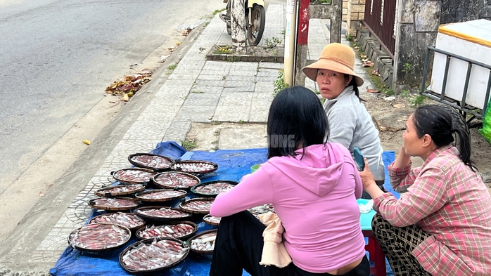 Ngư d&acirc;n Huế thu tiền triệu từ mực tươi nhờ quản l&yacute; IUU hiệu quả năm 2026 - Ảnh 8.