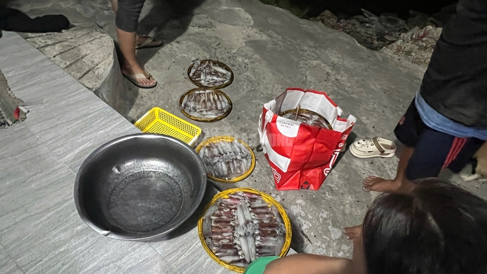 Ngư d&acirc;n Huế thu tiền triệu từ mực tươi nhờ quản l&yacute; IUU hiệu quả năm 2026 - Ảnh 10.