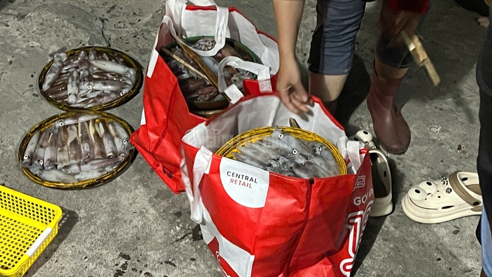 Ngư d&acirc;n Huế thu tiền triệu từ mực tươi nhờ quản l&yacute; IUU hiệu quả năm 2026 - Ảnh 12.