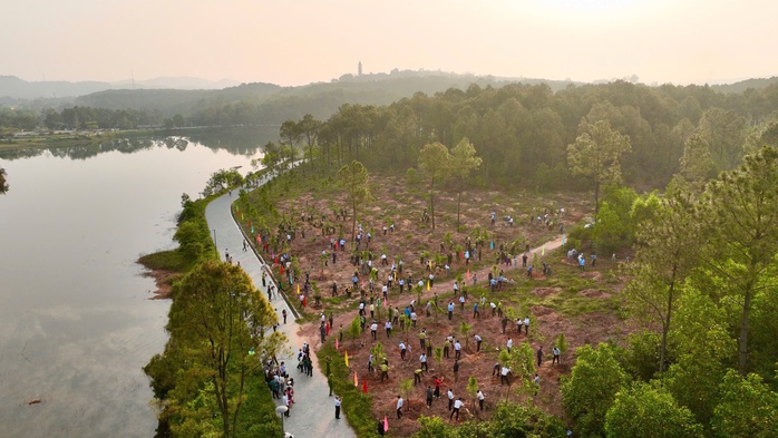 Huế phát động "Tết trồng cây đời đời nhớ ơn Bác Hồ" - Ảnh 1.