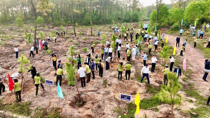 Huế phát động "Tết trồng cây đời đời nhớ ơn Bác Hồ" - Ảnh 2.