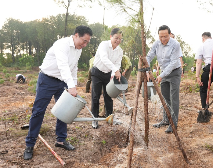 Huế phát động "Tết trồng cây đời đời nhớ ơn Bác Hồ" - Ảnh 3.