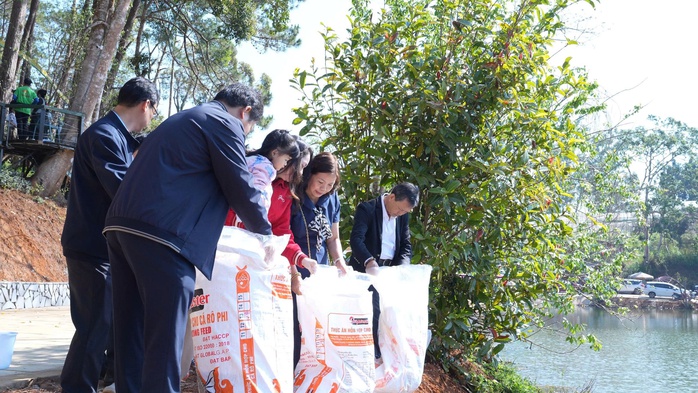 Thả 5 . 000 Cá Koi , cá Lăng tại hồ Đăk Ke Măng Đen 2026 - Ảnh 1. Thả 5 . 000 Cá Koi , cá Lăng tại hồ Đăk Ke Măng Đen 2026 - Ảnh 1.