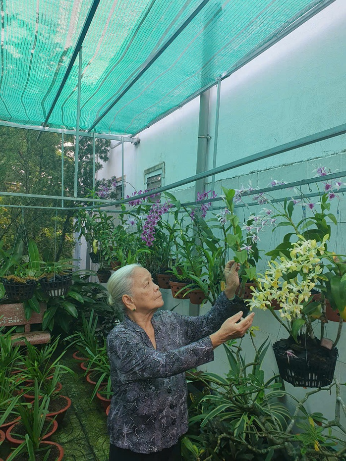 Cuộc thi "Tết xanh": Những sắc màu tết của tôi - Ảnh 1.