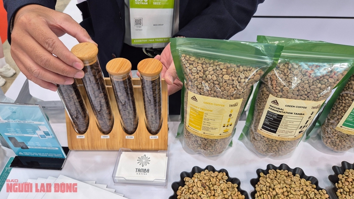 Gi&aacute; c&agrave; ph&ecirc; h&ocirc;m nay 26 - 2: Robusta tăng trong bối cảnh Brazil khan h&agrave;ng - Ảnh 2.