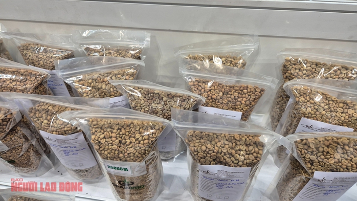  Thị trường đang trên đà cân bằng? - Ảnh 2.