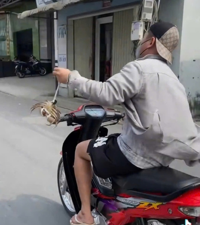 Xử phạt nam thanh niên trong đoạn clip dài 23 giây ở Cà Mau - Ảnh 1.