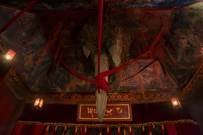 Võ Tấn Phát gây sốc khi "đối đầu trực diện" Võ Tấn Phát - Ảnh 3.