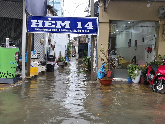 Mưa trái mùa gây ngập và thiệt hại muối ở Cà Mau năm 2026 - Ảnh 10.