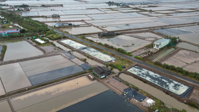 Mưa trái mùa gây ngập và thiệt hại muối ở Cà Mau năm 2026 - Ảnh 16.