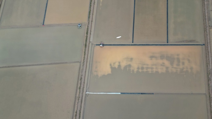 Mưa trái mùa gây ngập và thiệt hại muối ở Cà Mau năm 2026 - Ảnh 17.