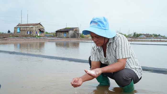 Mưa trái mùa gây ngập và thiệt hại muối ở Cà Mau năm 2026 - Ảnh 18.