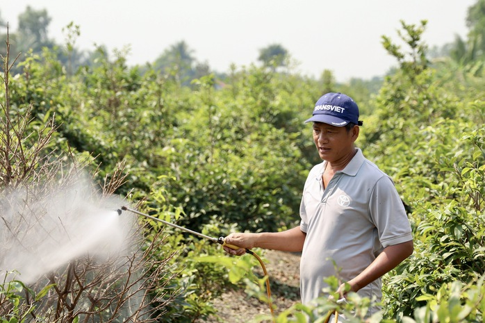 Mang m&ugrave;a xu&acirc;n đến cho nhiều lao động - Ảnh 2.