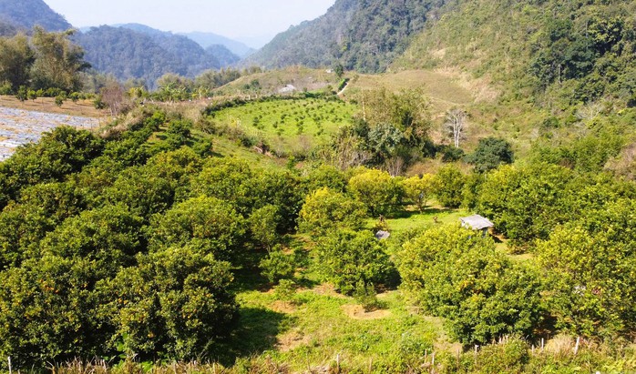 Giá thuê đất công ích quá cao, Thanh Hóa xin ý kiến Trung ương - Ảnh 1.