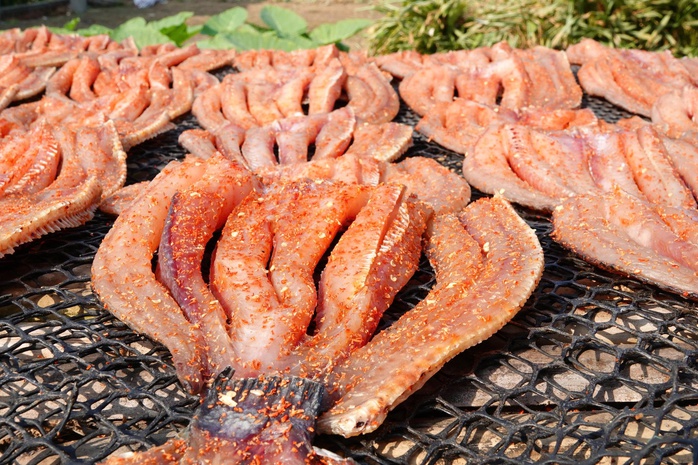 Kh&ocirc; c&aacute; l&oacute;c Cần Thơ: Nguồn thu nhập ổn định cho Người d&acirc;n dịp Tết 2026 - Ảnh 4.