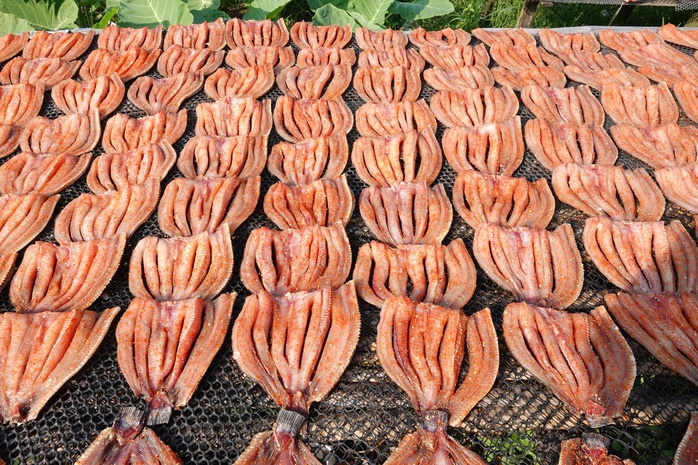 Kh&ocirc; c&aacute; l&oacute;c Cần Thơ: Nguồn thu nhập ổn định cho Người d&acirc;n dịp Tết 2026 - Ảnh 3.