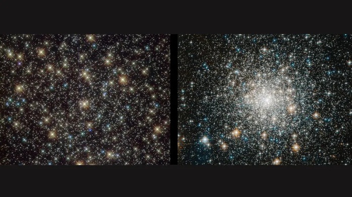 Ph&aacute;t hiện r&ugrave;ng m&igrave;nh về &ldquo;sinh vật bất tử&rdquo; của vũ trụ - Ảnh 1.