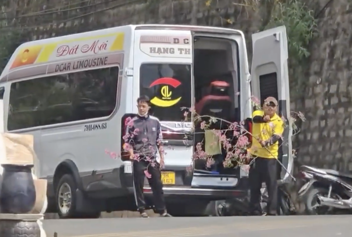 Ngang nhi&ecirc;n chặt nh&aacute;nh hoa mai anh đ&agrave;o ở Đ&agrave; Lạt - Ảnh 2.