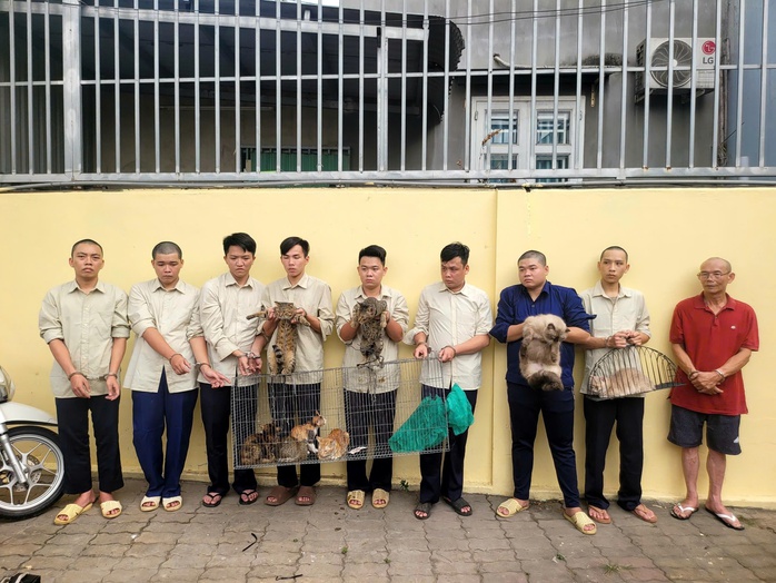 C&ocirc;ng an TPHCM bắt nh&oacute;m trộm m&egrave;o , điều tra vụ &aacute;n nghi&ecirc;m trọng năm 2026 - Ảnh 1.