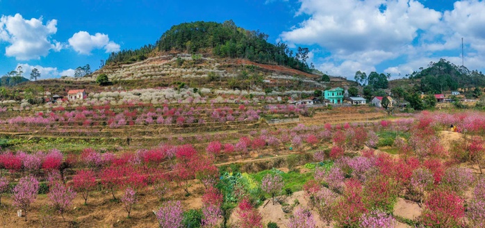 Rực rỡ Lễ hội "Sắc đ&agrave;o xứ Lạng - kết nối mu&ocirc;n phương" - Ảnh 2.