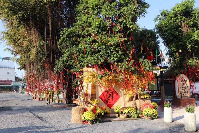 C&ocirc;ng vi&ecirc;n Nguyễn Tư Nghi&ecirc;m ở TPHCM: S&acirc;n pickelball v&agrave; cầu l&ocirc;ng hiện đại - Ảnh 4.