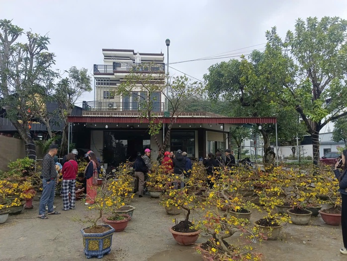 Người d&acirc;n Nghệ An ủng hộ người đ&agrave;n &ocirc;ng b&aacute;n mai Tết sau vụ bị lừa - Ảnh 2.