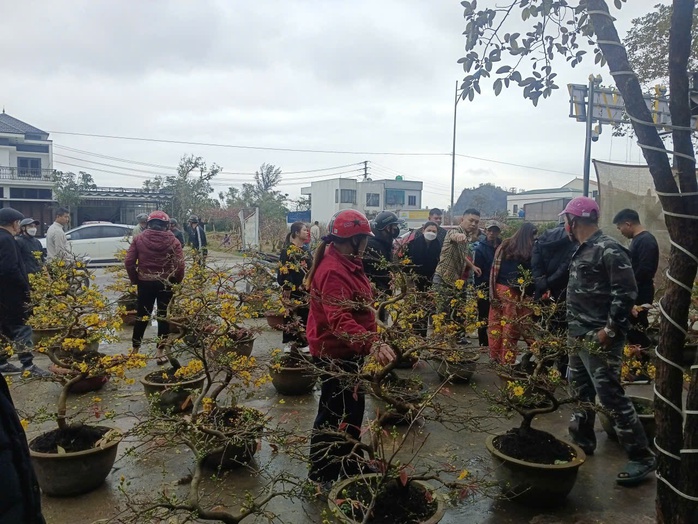 Người d&acirc;n Nghệ An ủng hộ người đ&agrave;n &ocirc;ng b&aacute;n mai Tết sau vụ bị lừa - Ảnh 6.