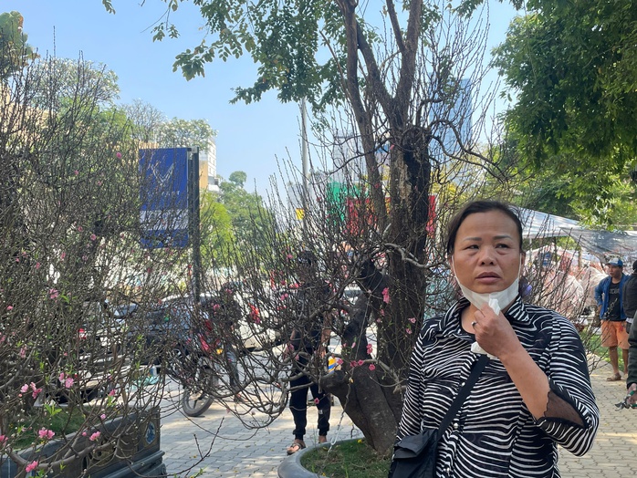 Đ&agrave;o cổ thụ tiền trăm triệu h&uacute;t kh&aacute;ch sớm ở chợ hoa TP HCM  - Ảnh 2.
