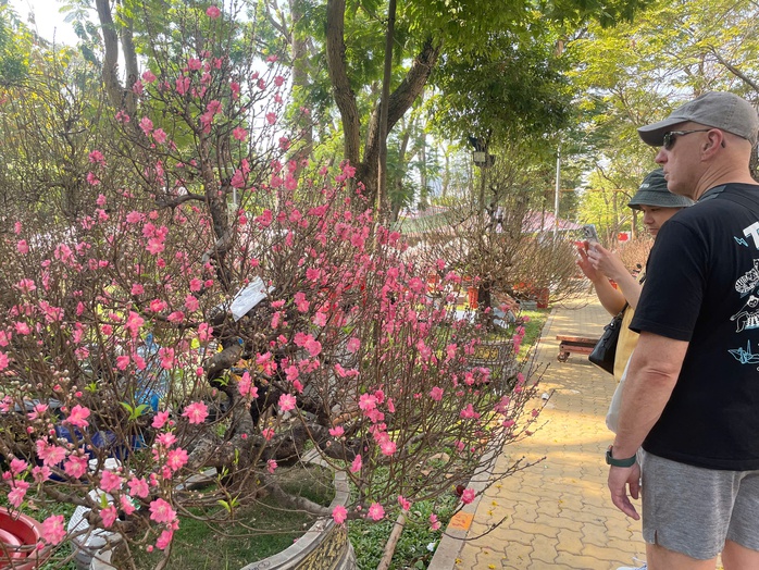 Đ&agrave;o cổ thụ tiền trăm triệu h&uacute;t kh&aacute;ch sớm ở chợ hoa TP HCM  - Ảnh 4.