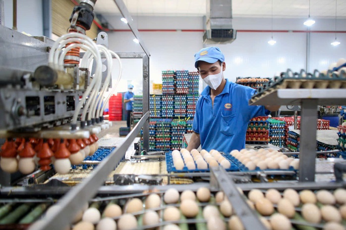 Nỗ lực giữ gi&aacute; h&agrave;ng h&oacute;a - Ảnh 1.