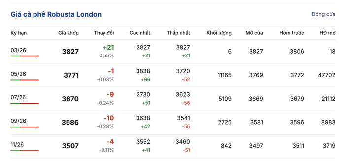 Gi&aacute; c&agrave; ph&ecirc; h&ocirc;m nay 10 - 3: Biến động v&agrave; xu hướng thị trường c&agrave; ph&ecirc; 2026 - Ảnh 2.