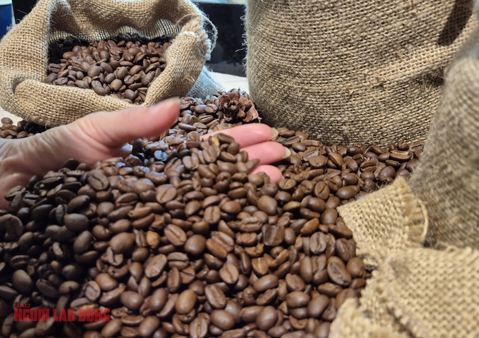 Gi&aacute; c&agrave; ph&ecirc; h&ocirc;m nay 11 - 3: Robusta giảm gi&aacute; , nguồn cung sắp tăng - Ảnh 3.
