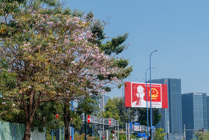 VIDEO: Con đường hoa k&egrave;n hồng l&atilde;ng mạn tại TPHCM - Ảnh 9.