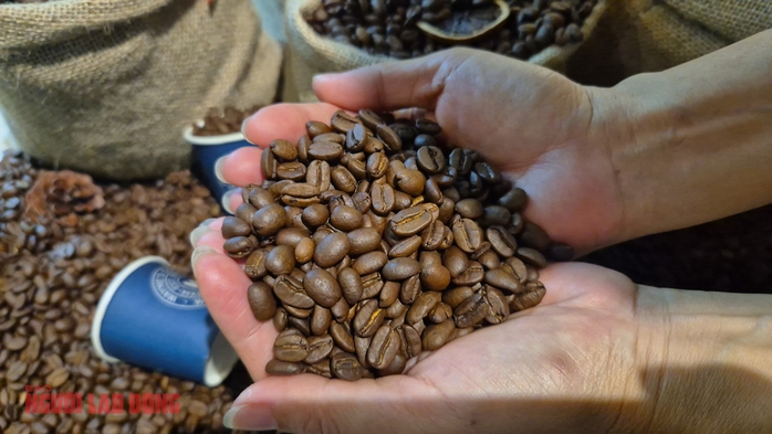 Gi&aacute; c&agrave; ph&ecirc; h&ocirc;m nay 12-3: Bốc hơi 3 con số bất chấp Brazil xuất khẩu giảm gần 23% - Ảnh 2.