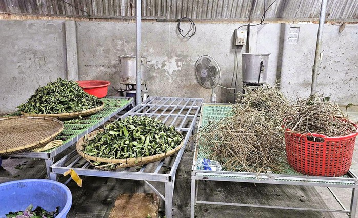 Thần y dỏm Ho&agrave;ng Văn To&agrave;n lừa đảo h&agrave;ng ng&agrave;n người với b&agrave;i thuốc gia truyền 3 đời - Ảnh 2.