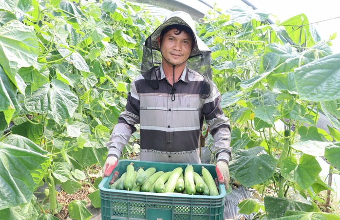 Lao động xuất khẩu chuyển hướng an to&agrave;n - Ảnh 1.