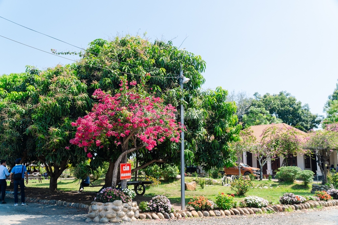 VIDEO: Ngẩn ngơ trước vẻ đẹp thơ mộng của "l&aacute; phổi xanh" Dầu Tiếng - Ảnh 9.