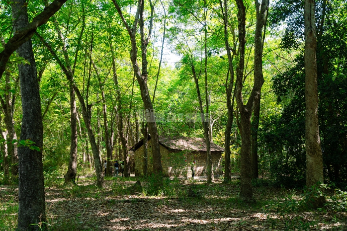 VIDEO: Ngẩn ngơ trước vẻ đẹp thơ mộng của "l&aacute; phổi xanh" Dầu Tiếng - Ảnh 10.