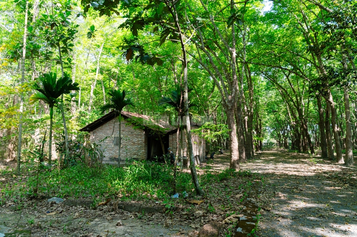 VIDEO: Ngẩn ngơ trước vẻ đẹp thơ mộng của "l&aacute; phổi xanh" Dầu Tiếng - Ảnh 17.