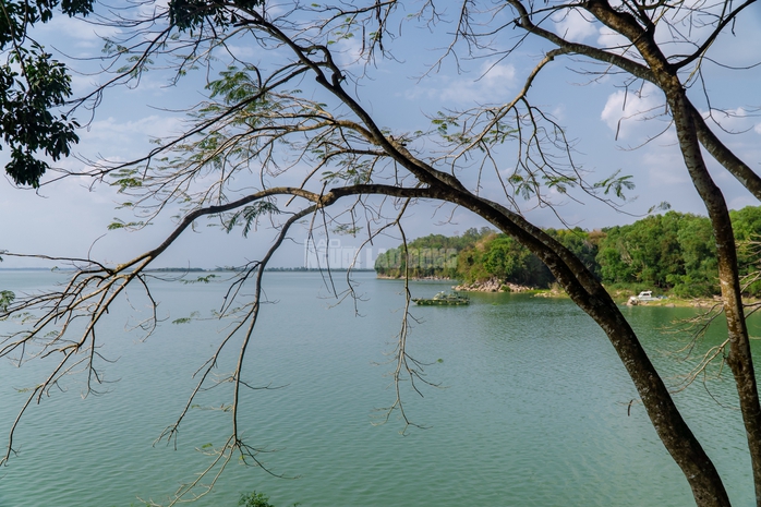 VIDEO: Ngẩn ngơ trước vẻ đẹp thơ mộng của "l&aacute; phổi xanh" Dầu Tiếng - Ảnh 25.